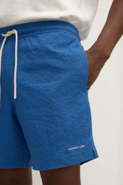 Seth Swim Short